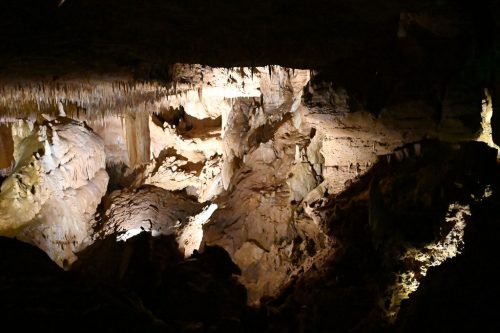 DSC_5436-f