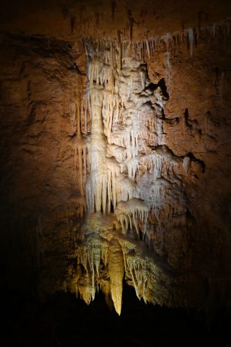 DSC_5455-f