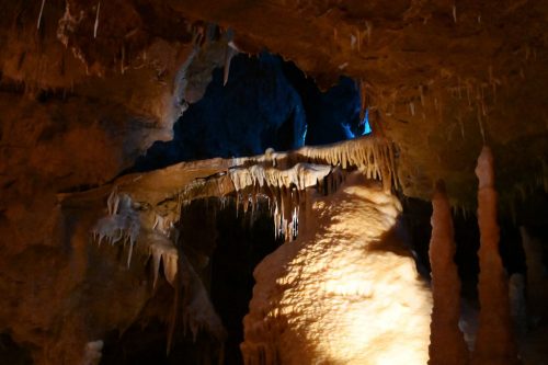 DSC_5472-f
