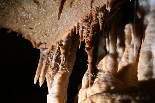 DSC_5492-f