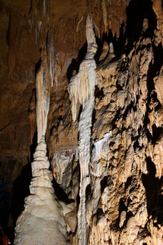 DSC_5495-f