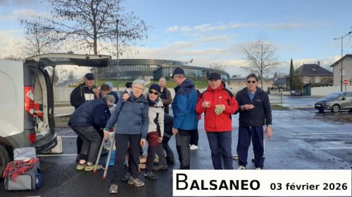 dominique-20260203-3