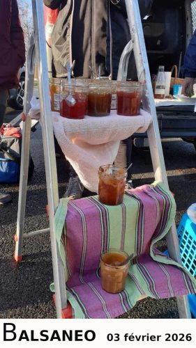 dominique-20260203-9