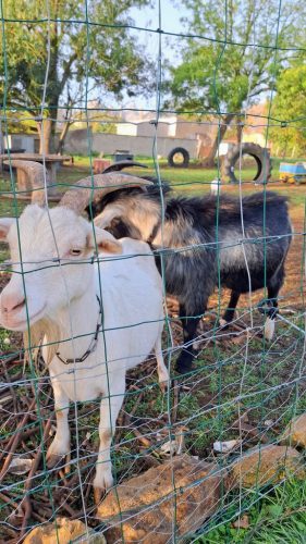 original_60dee646-0da3-4d53-b3be-79af513205ea_20251016_093904